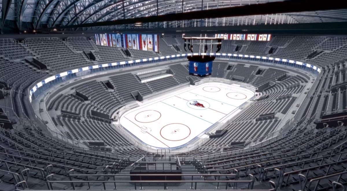    Строительство Ледовой арены близится к завершению