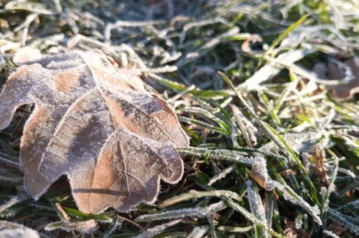    Самый холодный майский день назвали в Новосибирске