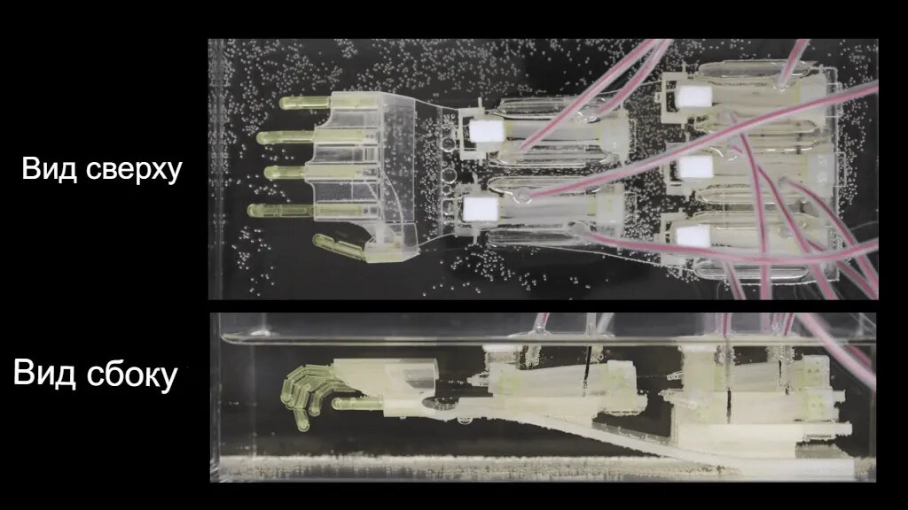 Японская роботизированная рука с человеческими мышцами