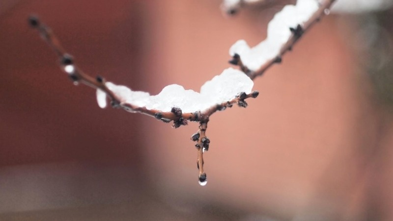 Фото: @EyeEm / freepik.com