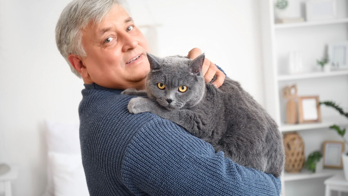    Фото: Pixel-Shot/Shutterstock/Fotodom