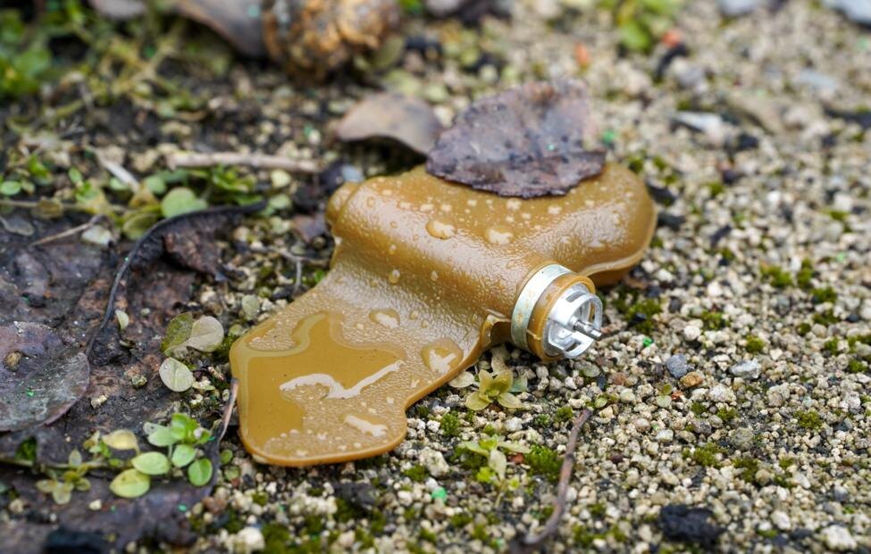 © Николай Тришин/ ТАСС, архив