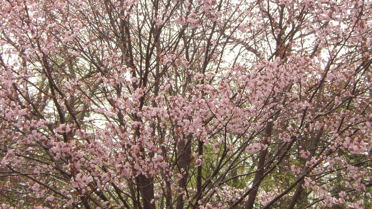     Источник: vostokmedia.com