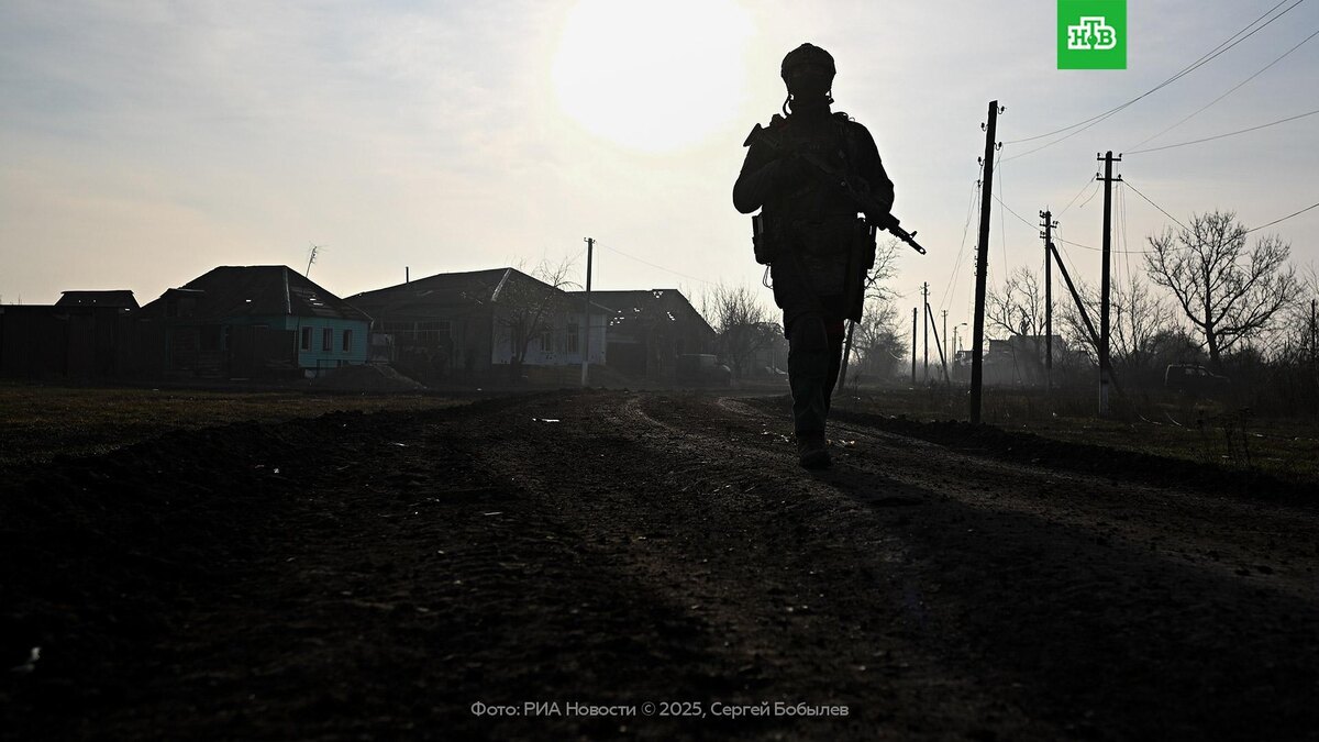    Путин в разговоре с Трампом назвал главное условие прекращения огня на Украине