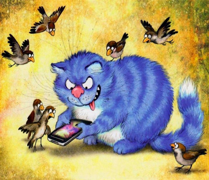 очаровательный котик Рины Зенюк