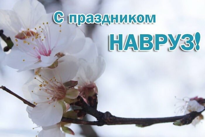 bestkartinki.ru