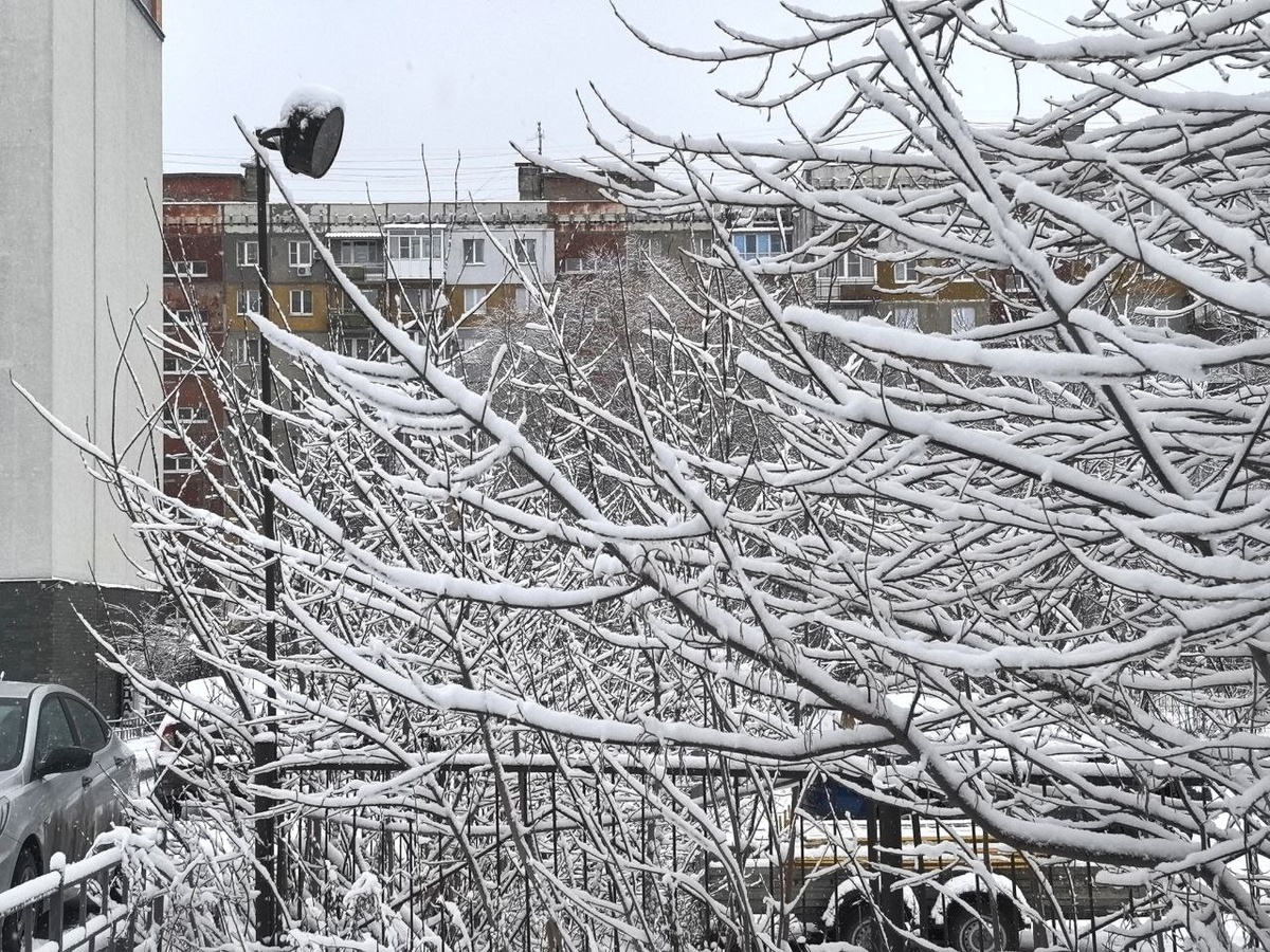 Мокрый снег ожидается во Владивостоке.  Фото: Фото: ФедералПресс / Ксения Кобалия