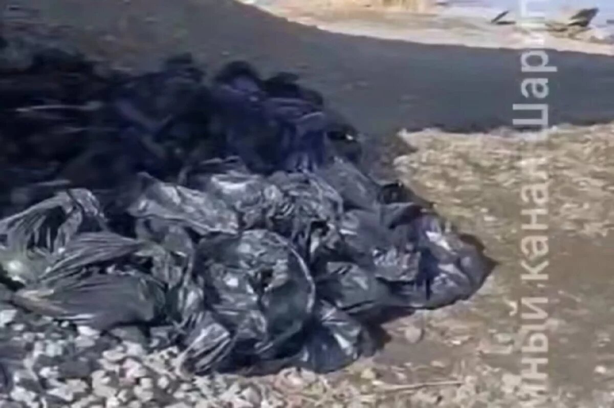    Для сбора разлагающейся рыбы были привлечены муниципальные спасатели из управления по гражданской обороне и чрезвычайным ситуациям