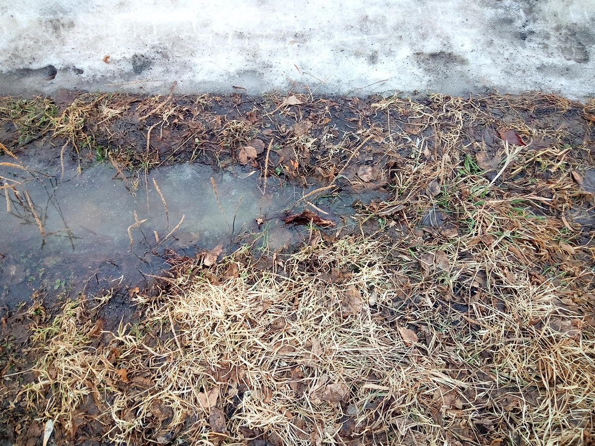 Весна вступает в свои права.