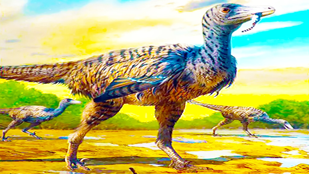 Вот такая вот жертва моды на перья...