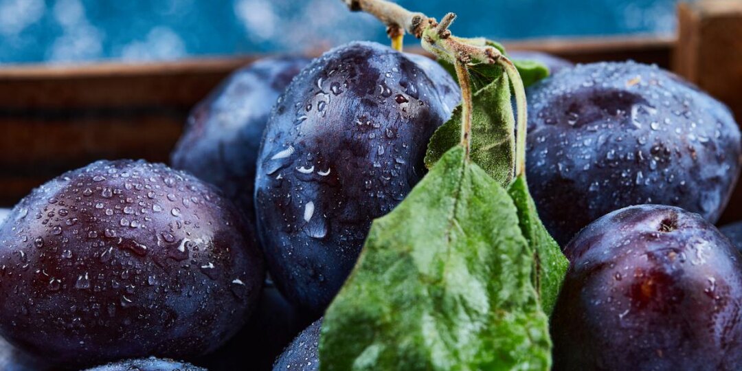 Секрет садоводов: как обрезать сливу, чтобы она плодоносила десятилетиями