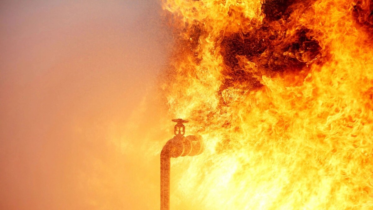    Фото: thaloengsak/Shutterstock/Fotodom