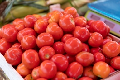 Дачники, записывайте даты: высаживайте семена томатов только в эти дни марта и апреля  📷
