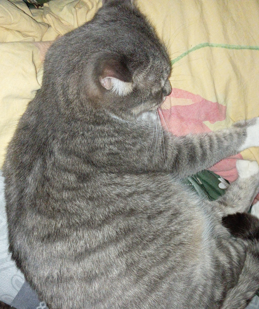 Личное фото автора канала