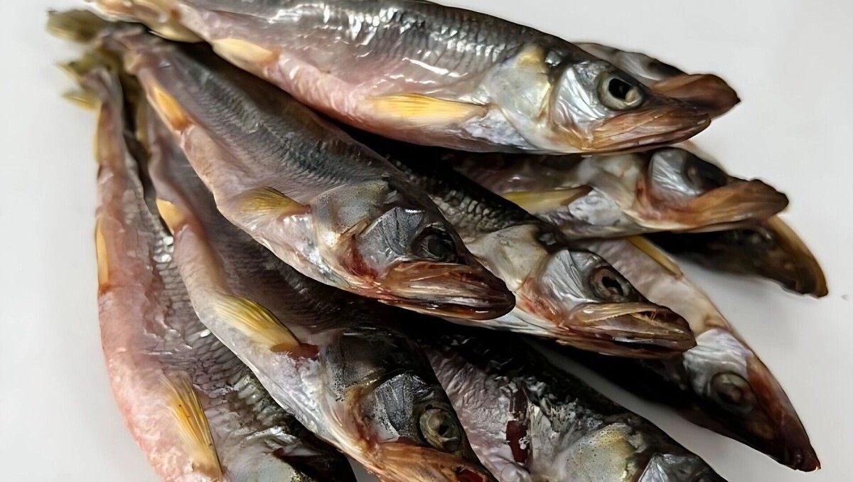     Источник: transsibinfo.com