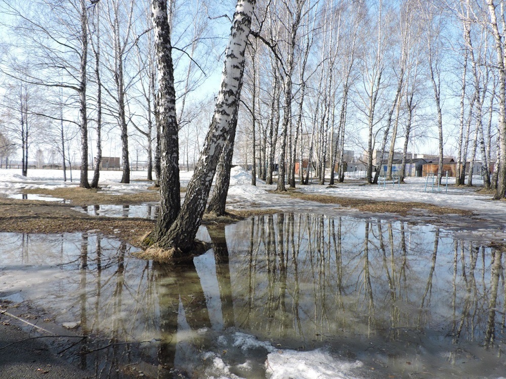    Весна. Фото Анны Зубаревой