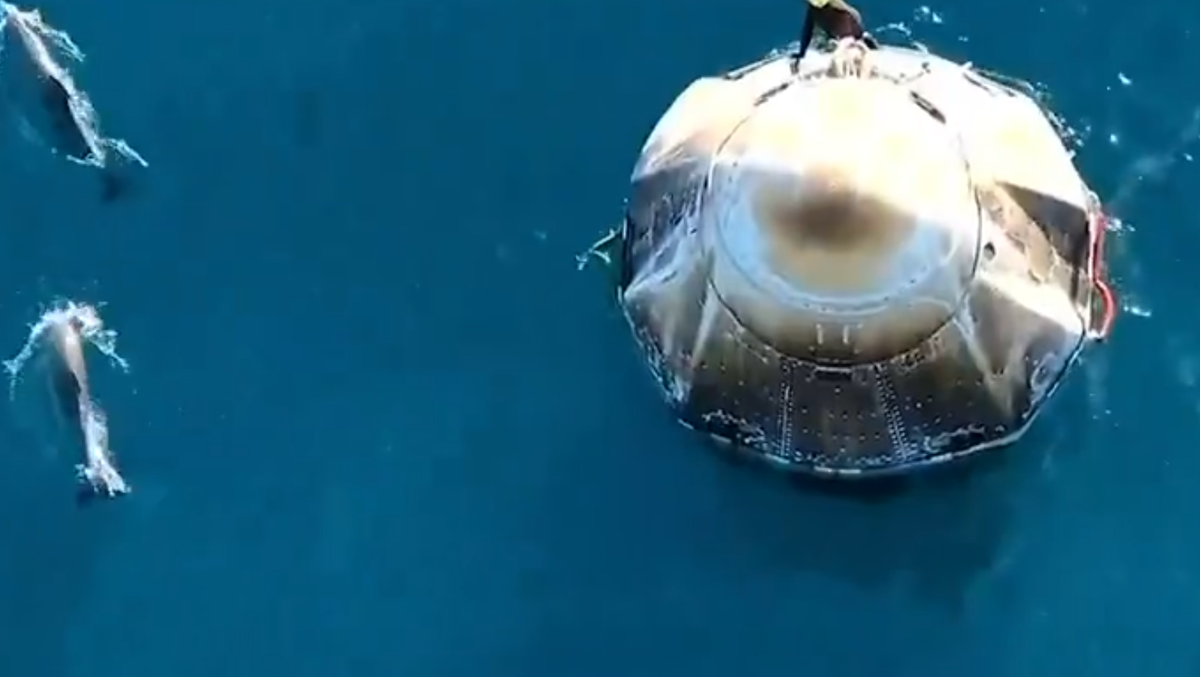 Корабль приветствовали дельфины. Фото /cb_doge  📷
