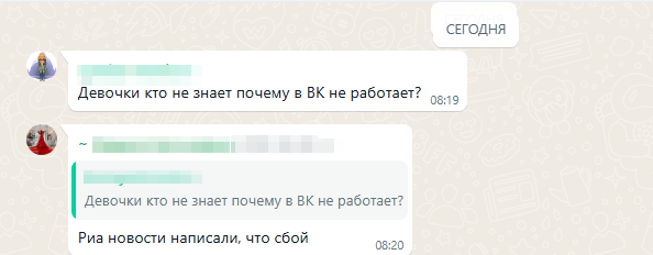    фото: скриншот чата из мессенджера