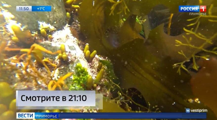    Источник фото: