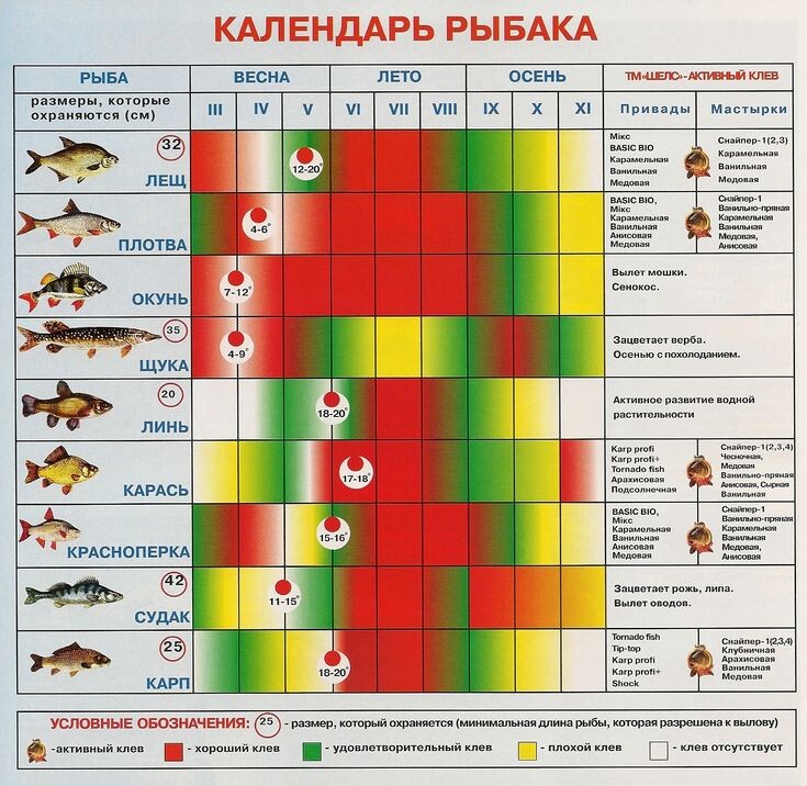Рыбалка по науке: секреты использования календаря клева