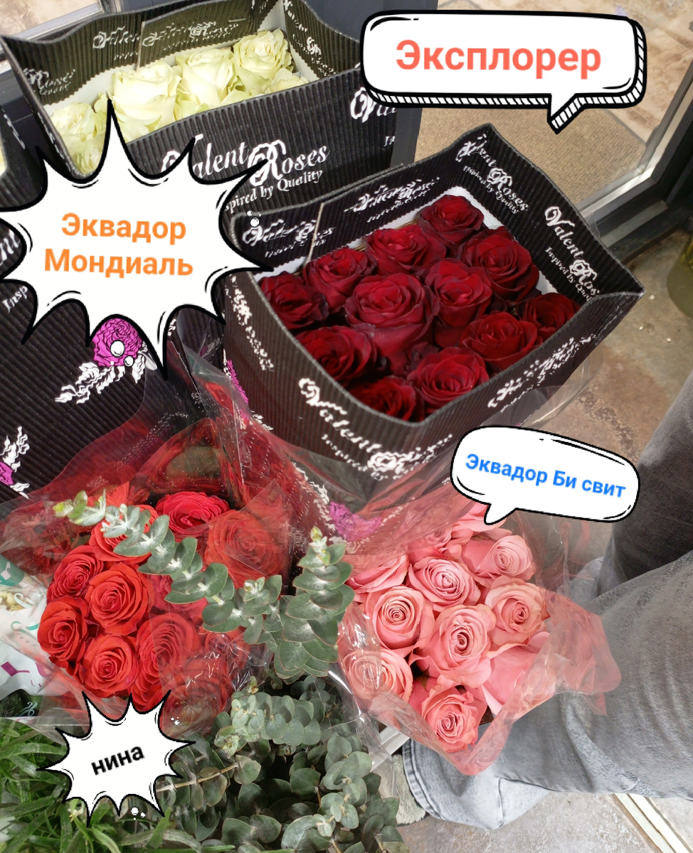 Ассортимент