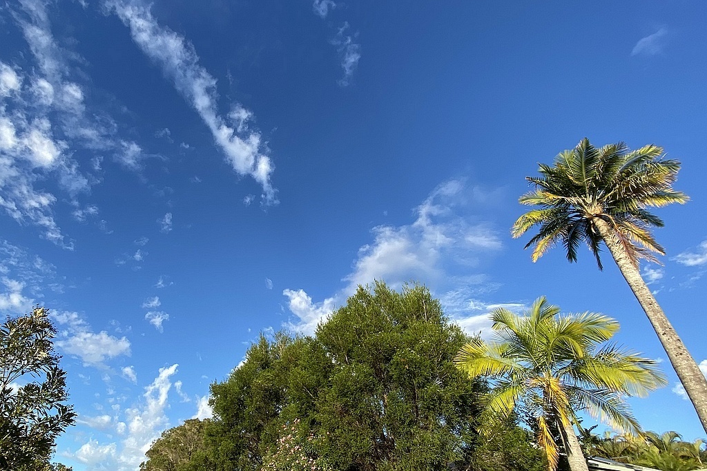 Фото из домашнего архива