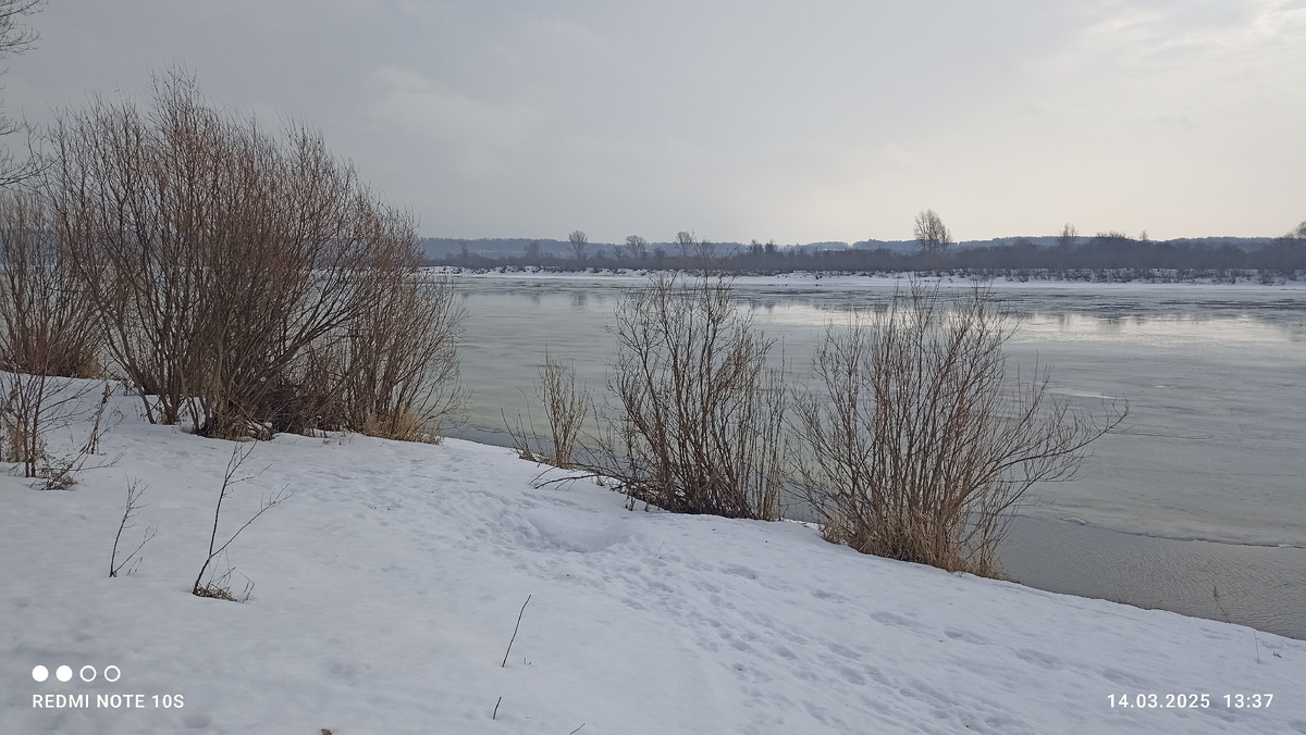 После двух-дневного дождя поменялся лед на реке. Фото автора.