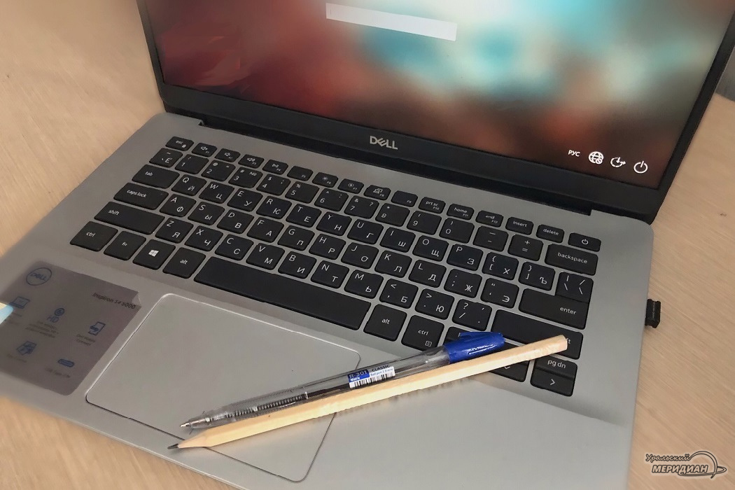    Фото: Наталья Бездноздрева © ИА «Уральский меридиан»