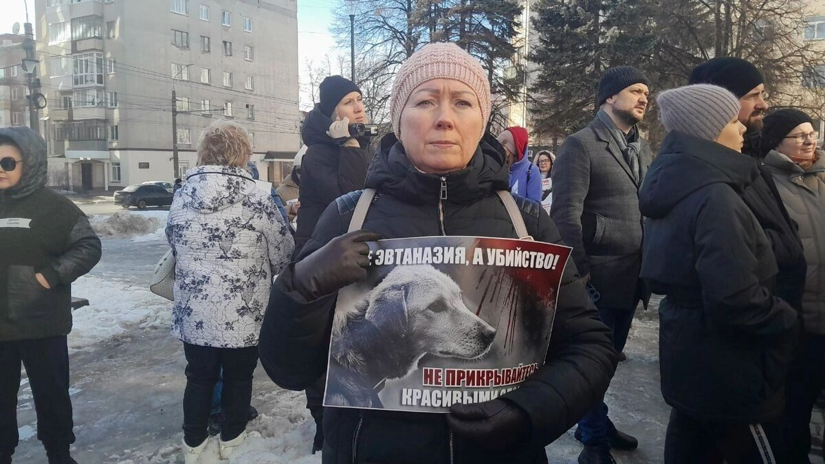     Источник: udm-info.ru