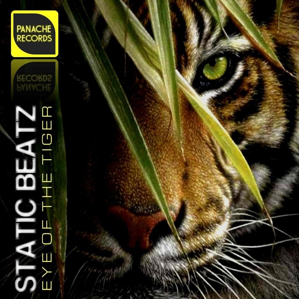Сингл
Eye Of The Tiger
Survivor, Static Beatz
1982 иностранный рок