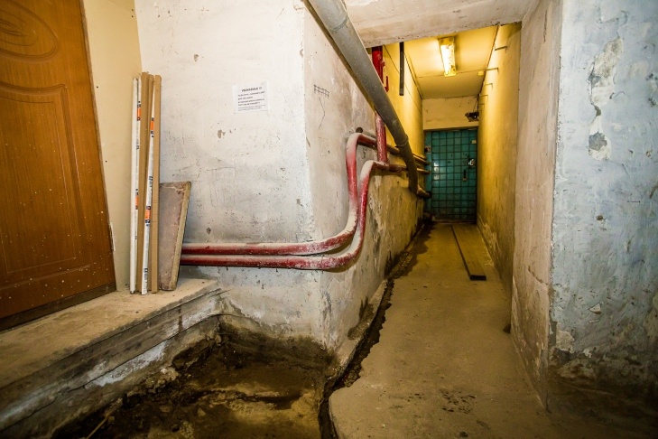    Фото Андрея Заржецкого