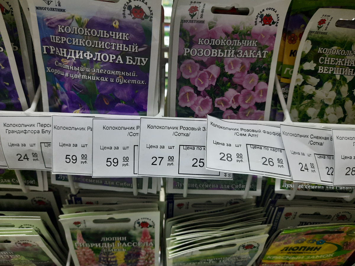 Колокольчики