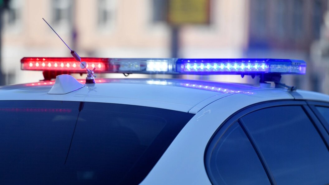    Фото: Vladimir Baranov/Globallookpress