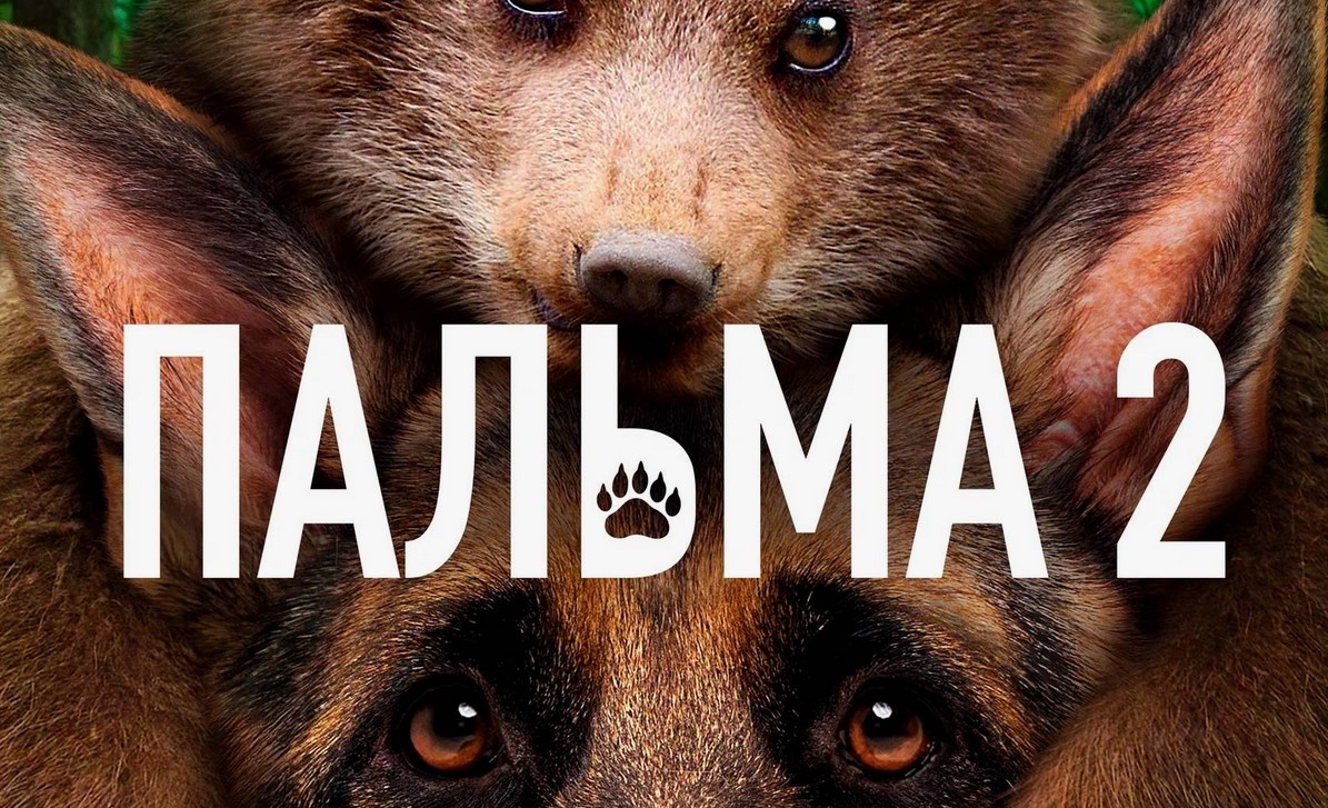 Афиша фильма "Пальма 2"