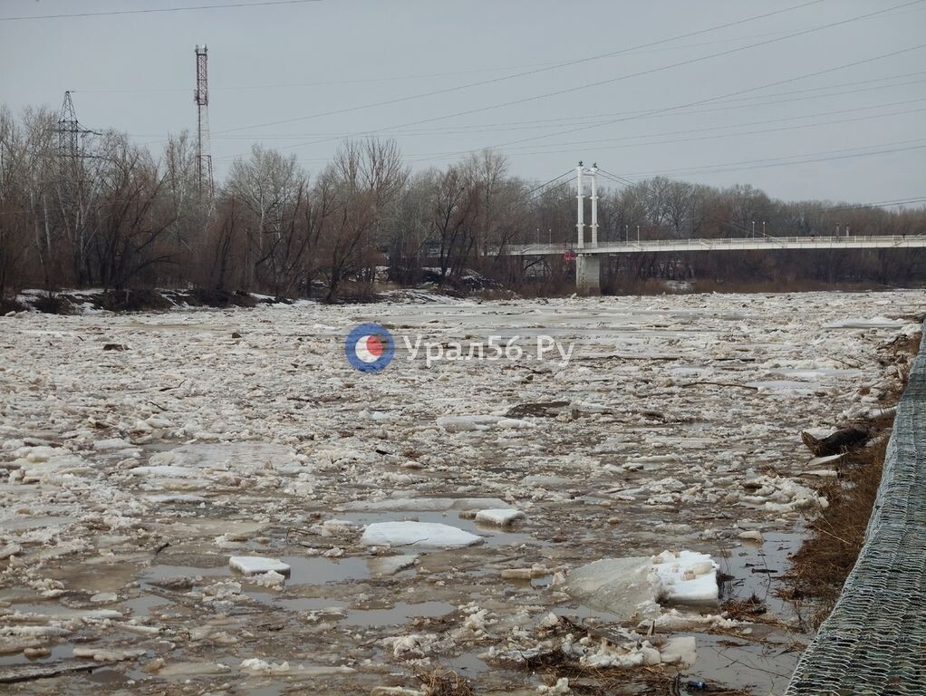    Урал в Оренбурге вырос за сутки на 74 см, Жарлы в Адамовке поднялась почти на 3 метра