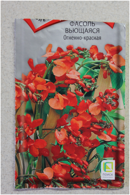 Личное фото автора.