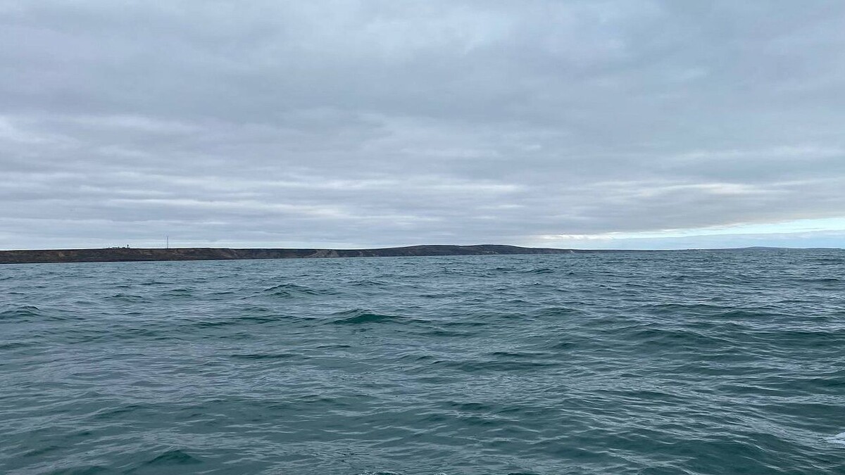    Фото: телеканал «Краснодар»