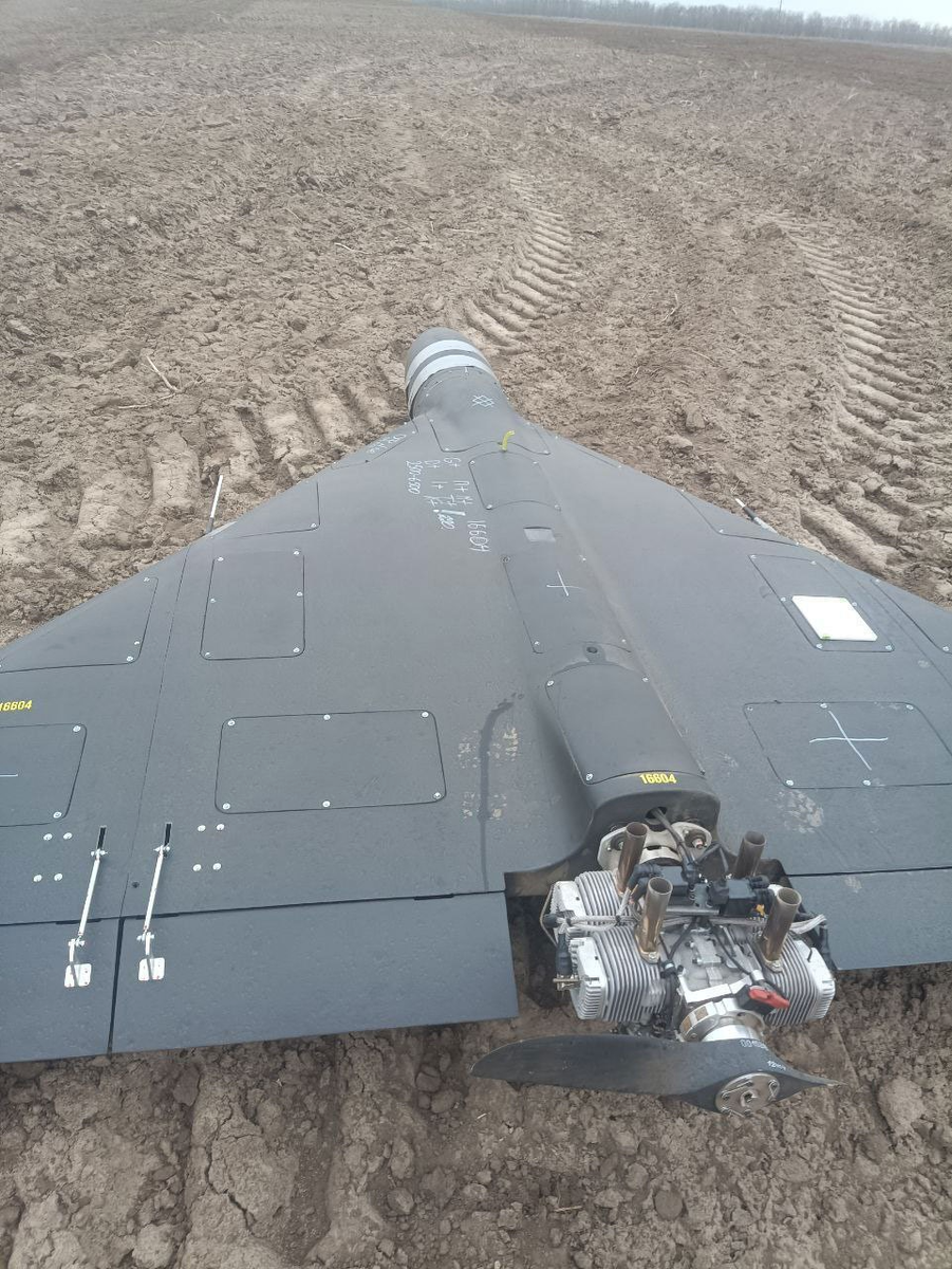    Изображение @boris_rozhin 