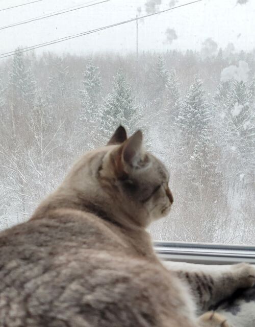 красота же?