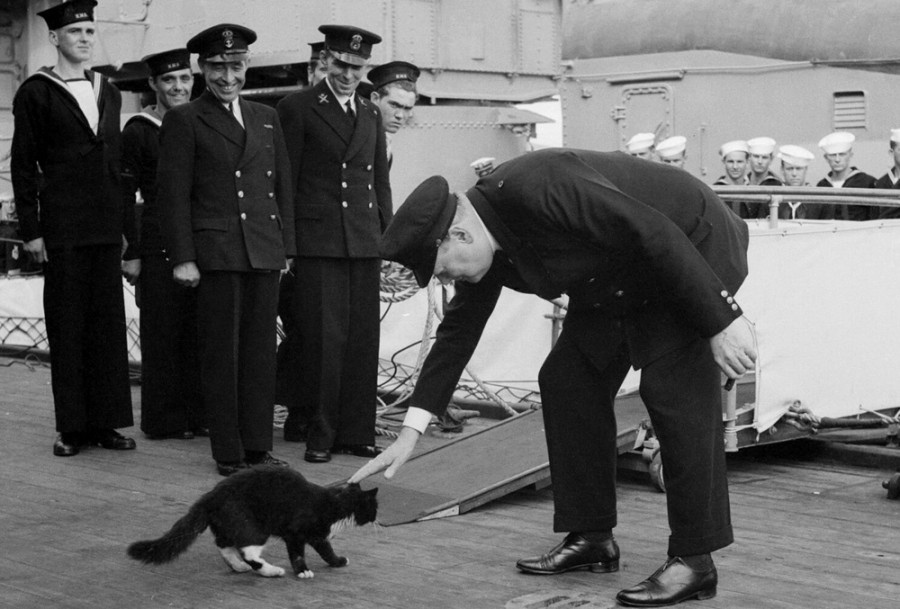 Непотопляемый Сэм. Фото из сети Интернет.