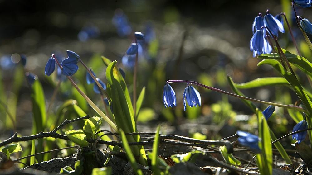    Фото: Nikolay Gyngazov/Global Look Press
