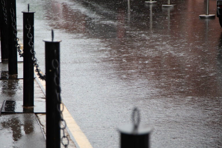    Фото: Общественная Служба Новостей Анна Мигинеишвили