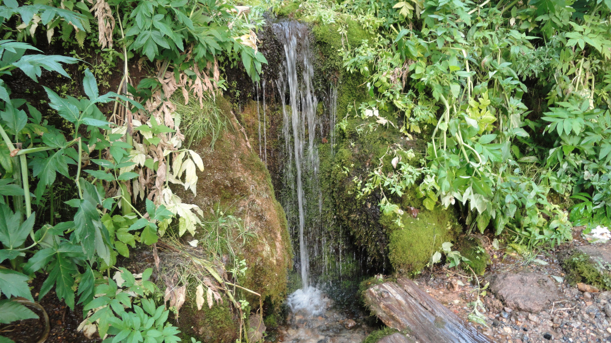    Источник: https://green.tsu.ru