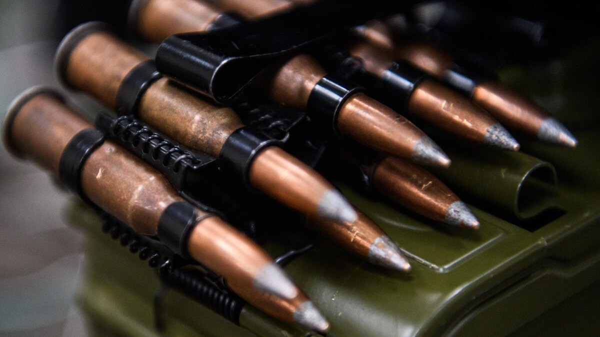    Фото: Ilya Moskovets/globallookpress.com