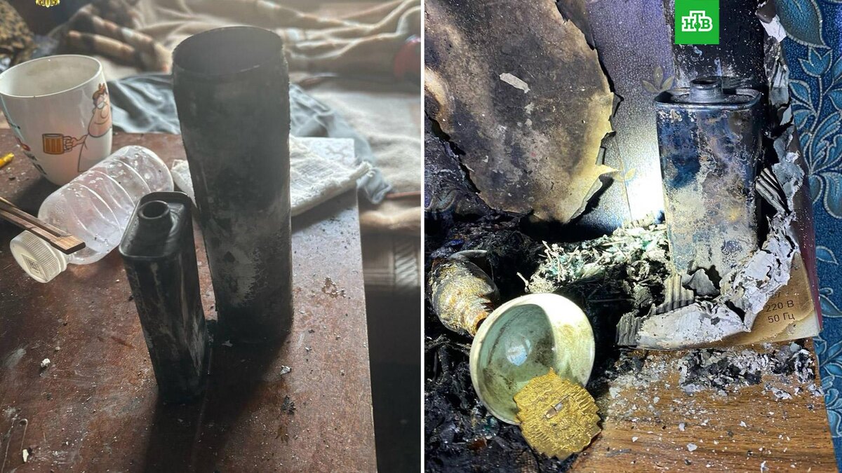    Фото: moscowproc / t.me