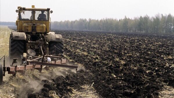    © Sputnik / Андрей Соломонов