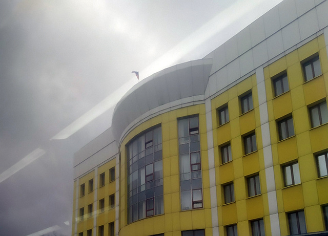 Все вокруг колхозное… В Твери мужчина, не получив зарплату, обокрал предприятие