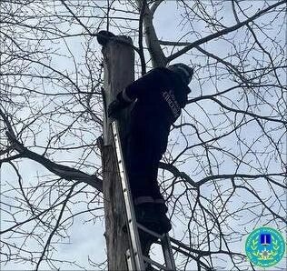    Фото: МБУ "Управление гражданской защиты города Ульяновска"