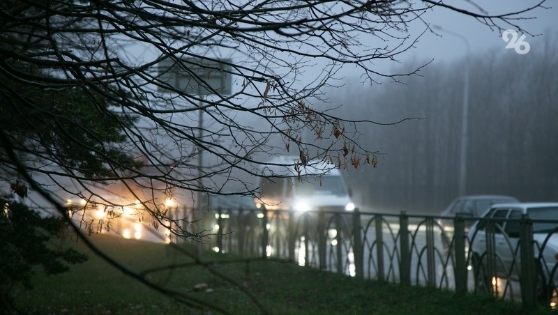      Фото: Валерия Алтухова / / ИА «Победа26»