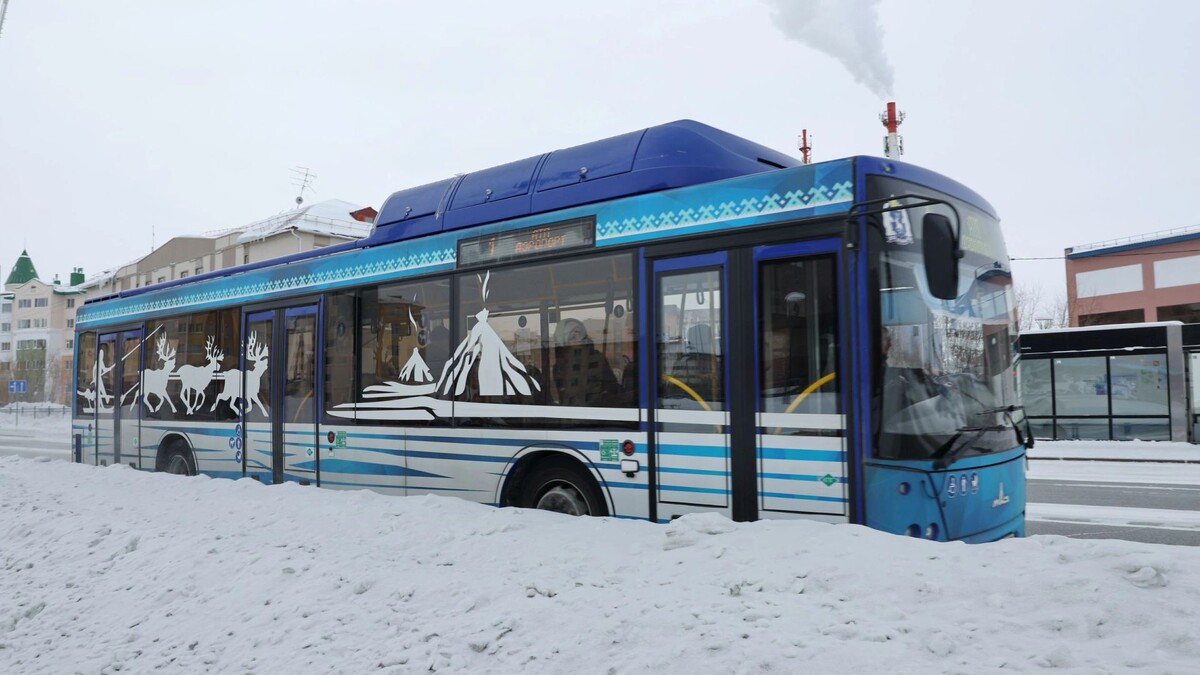    Фото: Андрей Ткачев/«Ямал-Медиа»